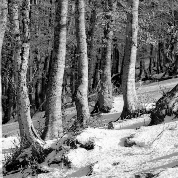 Trekking sui Monti Martani