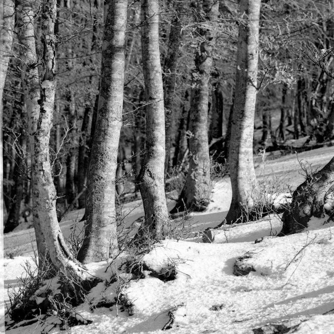Trekking sui Monti Martani