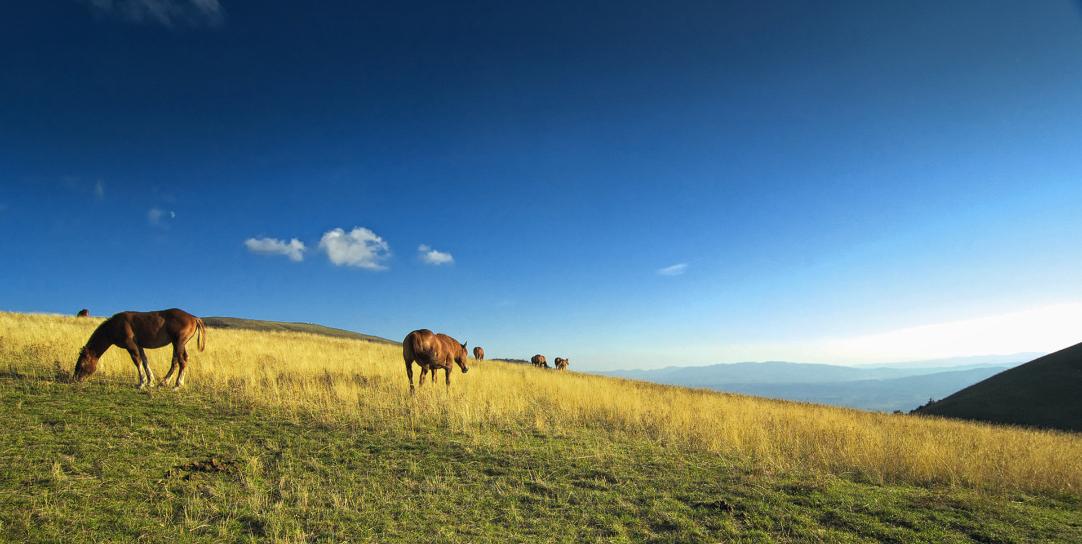 In moto alla scoperta del Monte Subasio