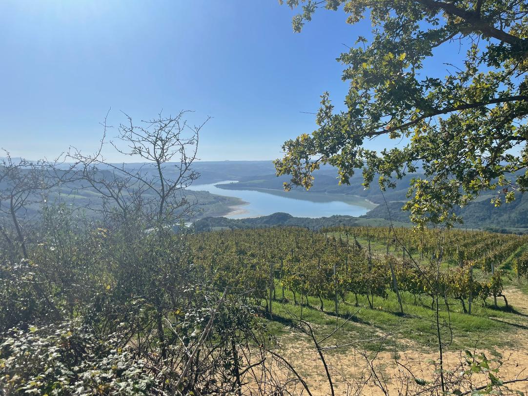 Vista del Canyon e Lago di Corbara