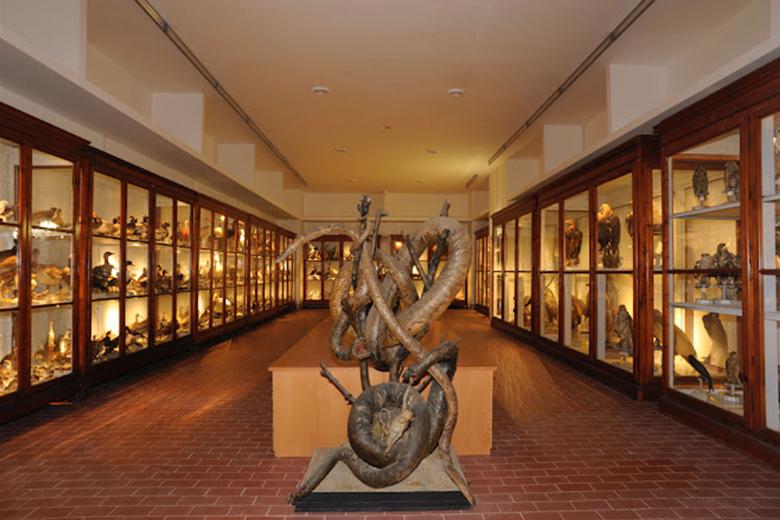 Titolo: Trip 4 - From Pila to Torgiano and Deruta