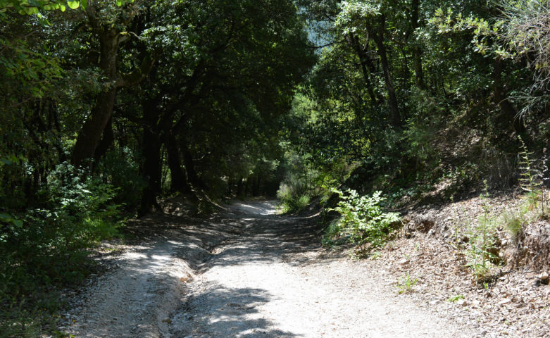 From Sassovivo Abbey to Sasso di Pale