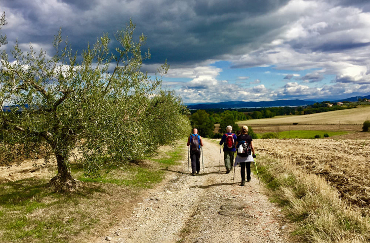 Der Weg des Trasimeno