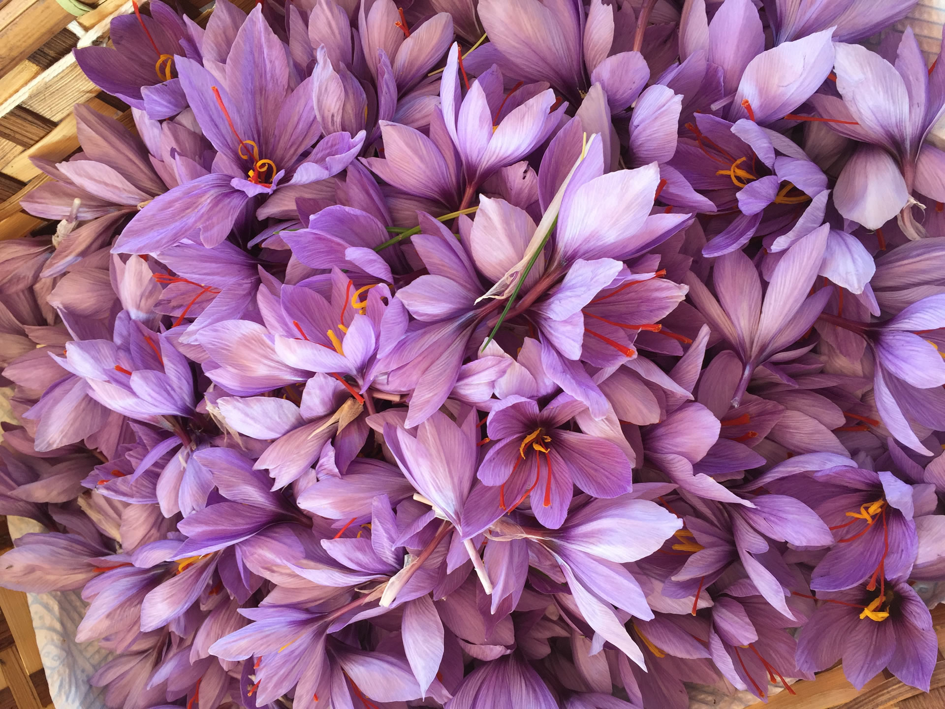 Umbria: love flavours