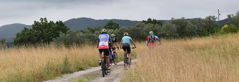 Titolo: Media Valle Tour - Among the holm oaks and oaks of the Tiber Valley