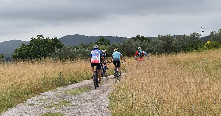 Titolo: Media Valle Tour - Among the holm oaks and oaks of the Tiber Valley 