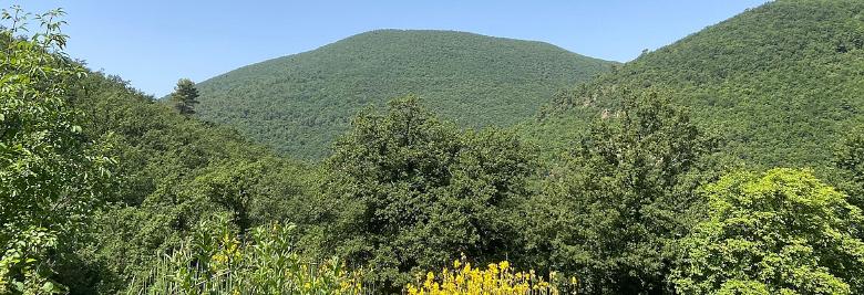 Immagine: Acera Castle - Campello sul Clitunno