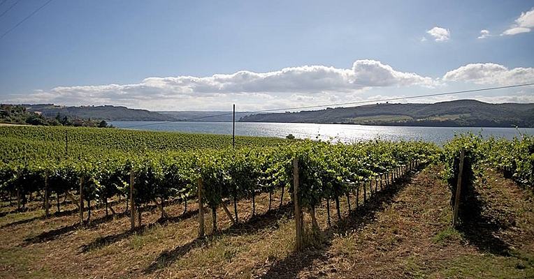 Immagine: Corbara-See