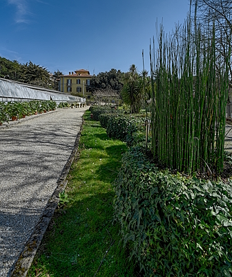 Detail of The aquatic plant collection