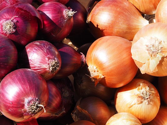 Image showing many onions in two different colours: red on the left and yellow on the right
