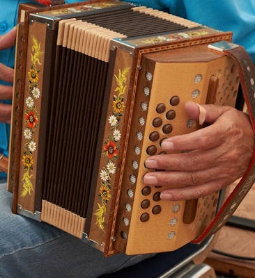 Image of an accordion player with their fingers resting on the side keys of the instrument