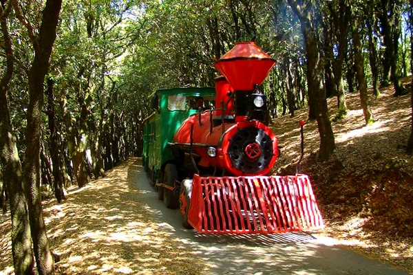 città della domenica