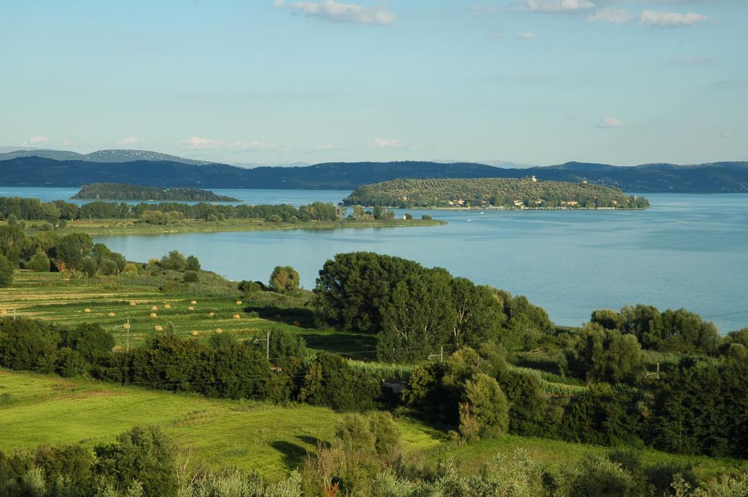Parco del lago Trasimeno