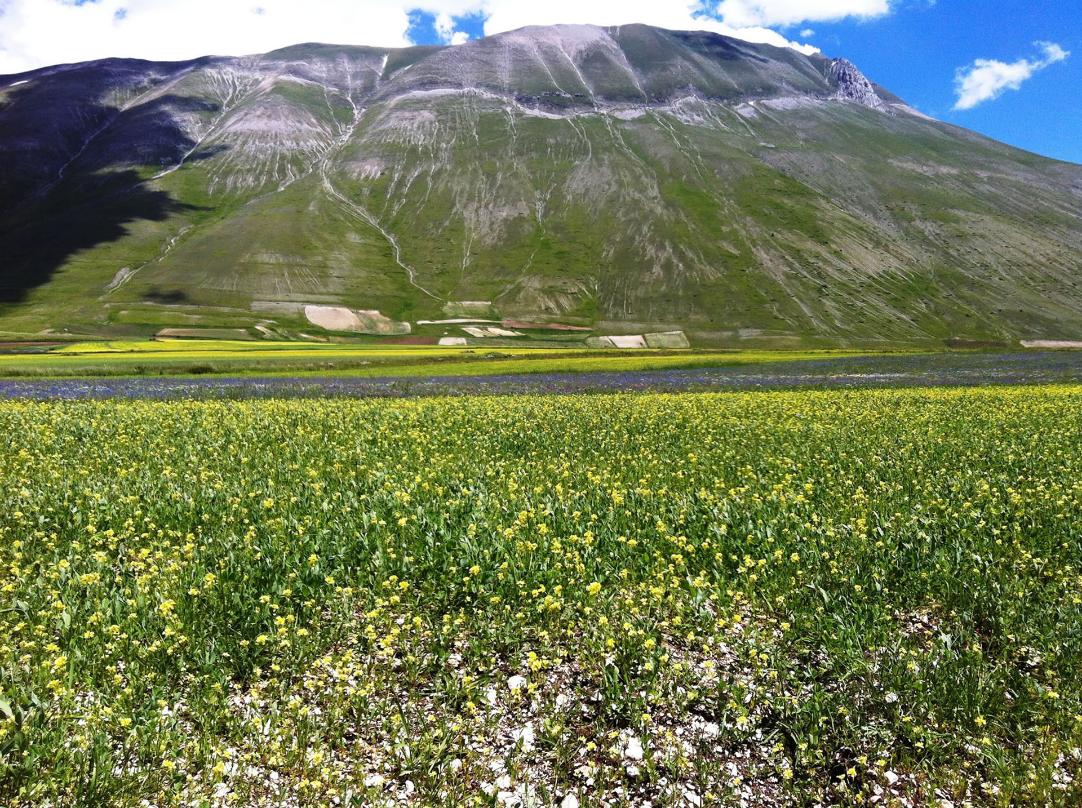 Parco nazionale dei Monti Sibillini