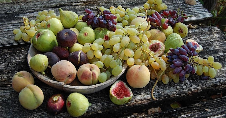 A vibrant basket of fruit with intense and varied colors, freshly picked from the orchards of the Arboreal Archaeology Park in San Lorenzo di Lerchi, symbolizes biodiversity and agricultural tradition.