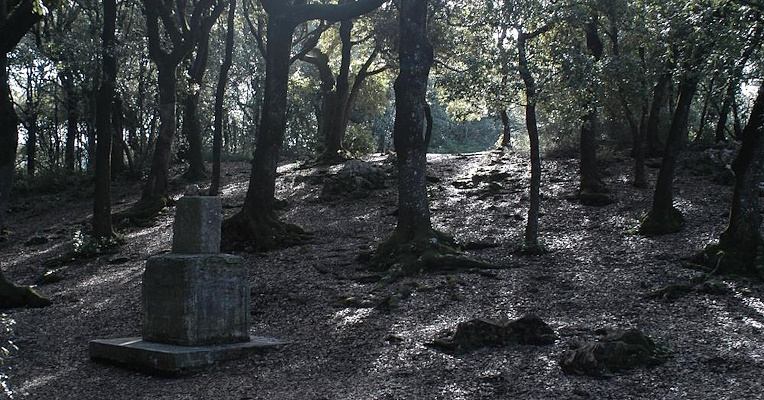 A path immersed in nature leads from Spoleto to the Sacred Forest of Monteluco. This view captures the magic and charm of the ancient trail surrounded by towering trees and lush vegetation.