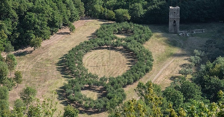 The land art installation “Terzo Paradiso” by Michelangelo Pistoletto stands in the FAI Bosco di San Francesco: 121 olive trees arranged in three concentric circles, with a 12-meter-high steel rod at the center, symbolizing the balance between nature and culture.