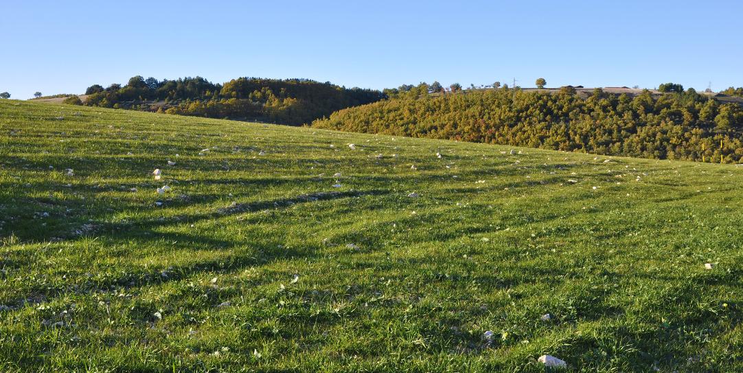 Naturschutzgebiet Colfiorito
