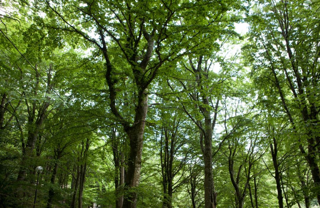 Hiking in Monte Cucco