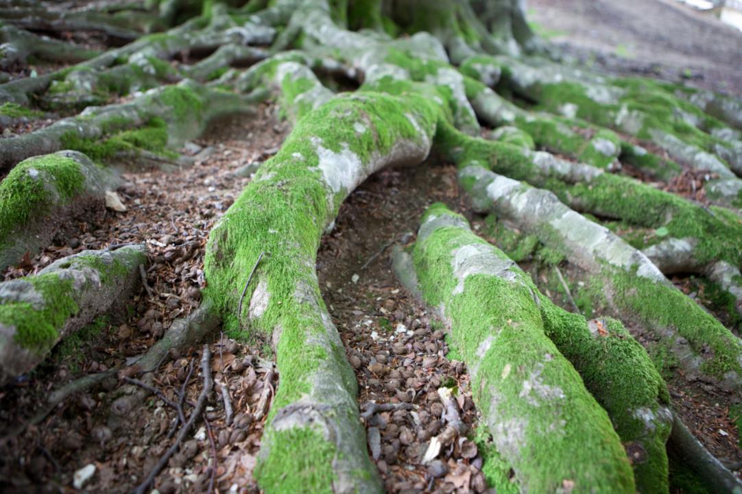 Trekking al Monte Cucco