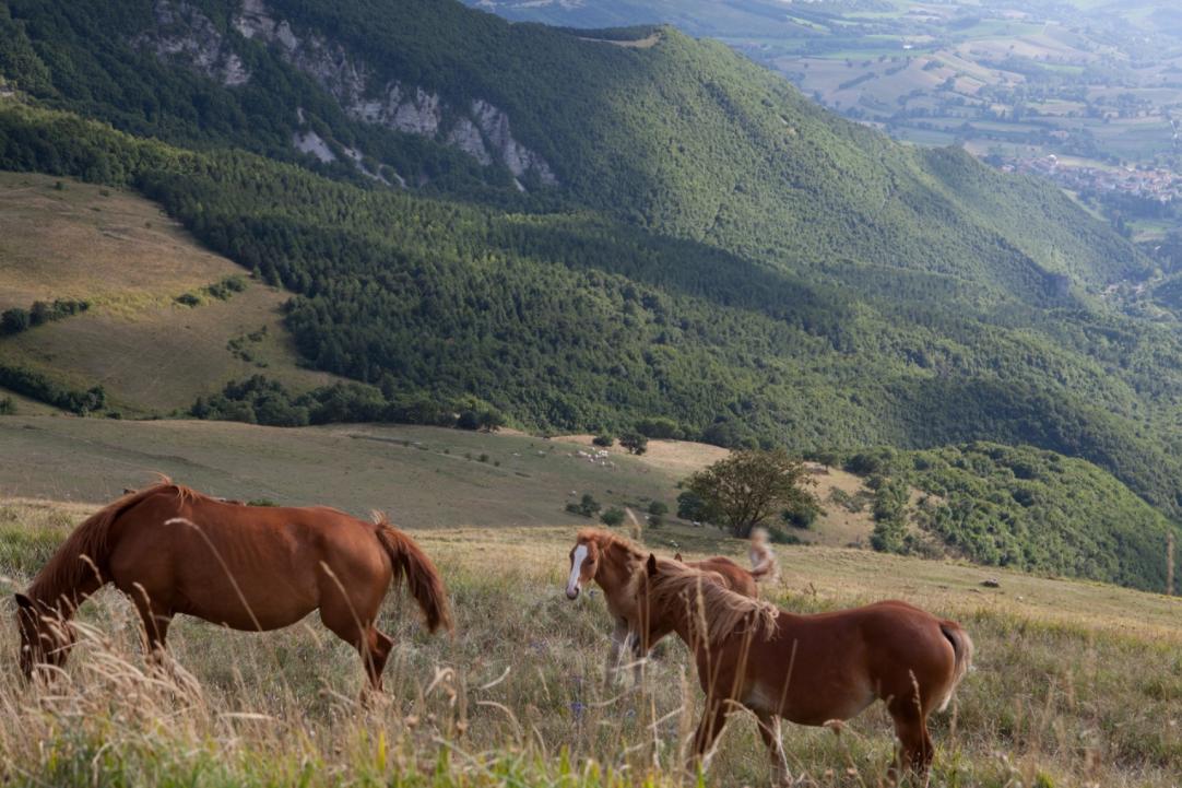 Hiking in Monte Cucco