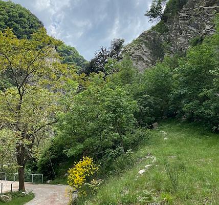 The Bottaccione Gorge