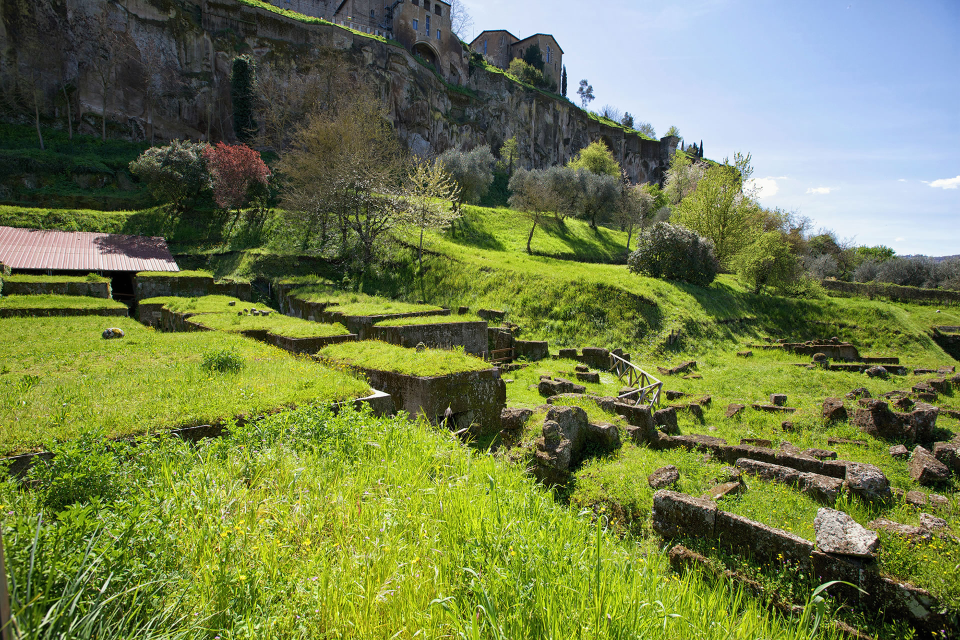 In the footsteps of the Etruscans: discovering Orvieto and its surroundings