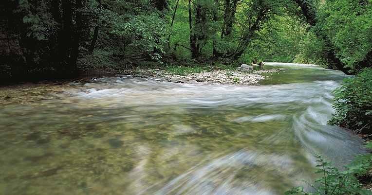 Foto eines Flussabschnitts mit einer fließenden Strömung