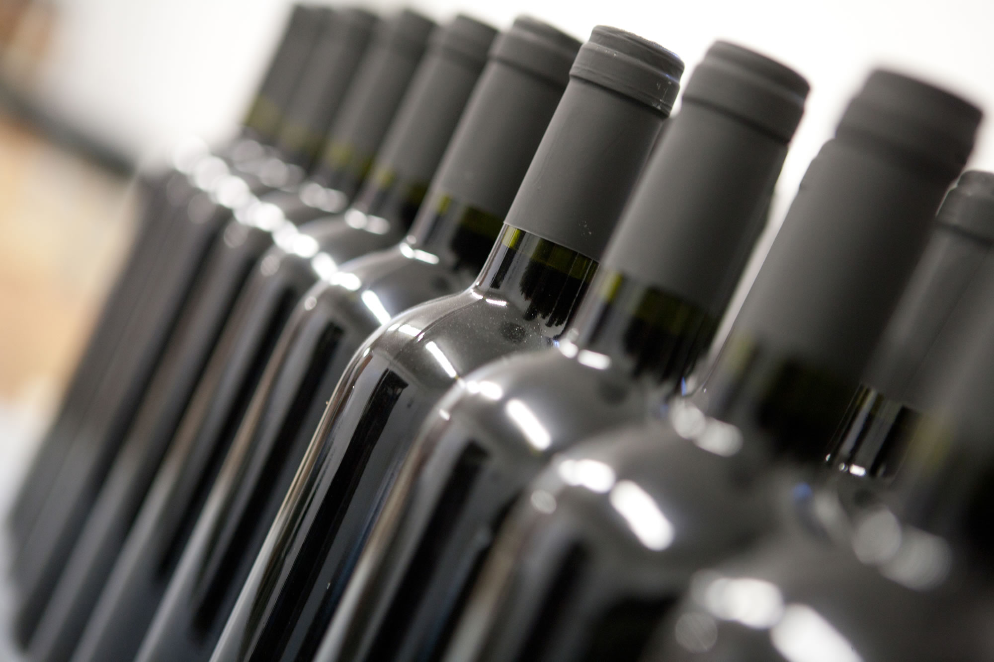 From Montefalco to Giano dell'Umbria along the Sagrantino wine route