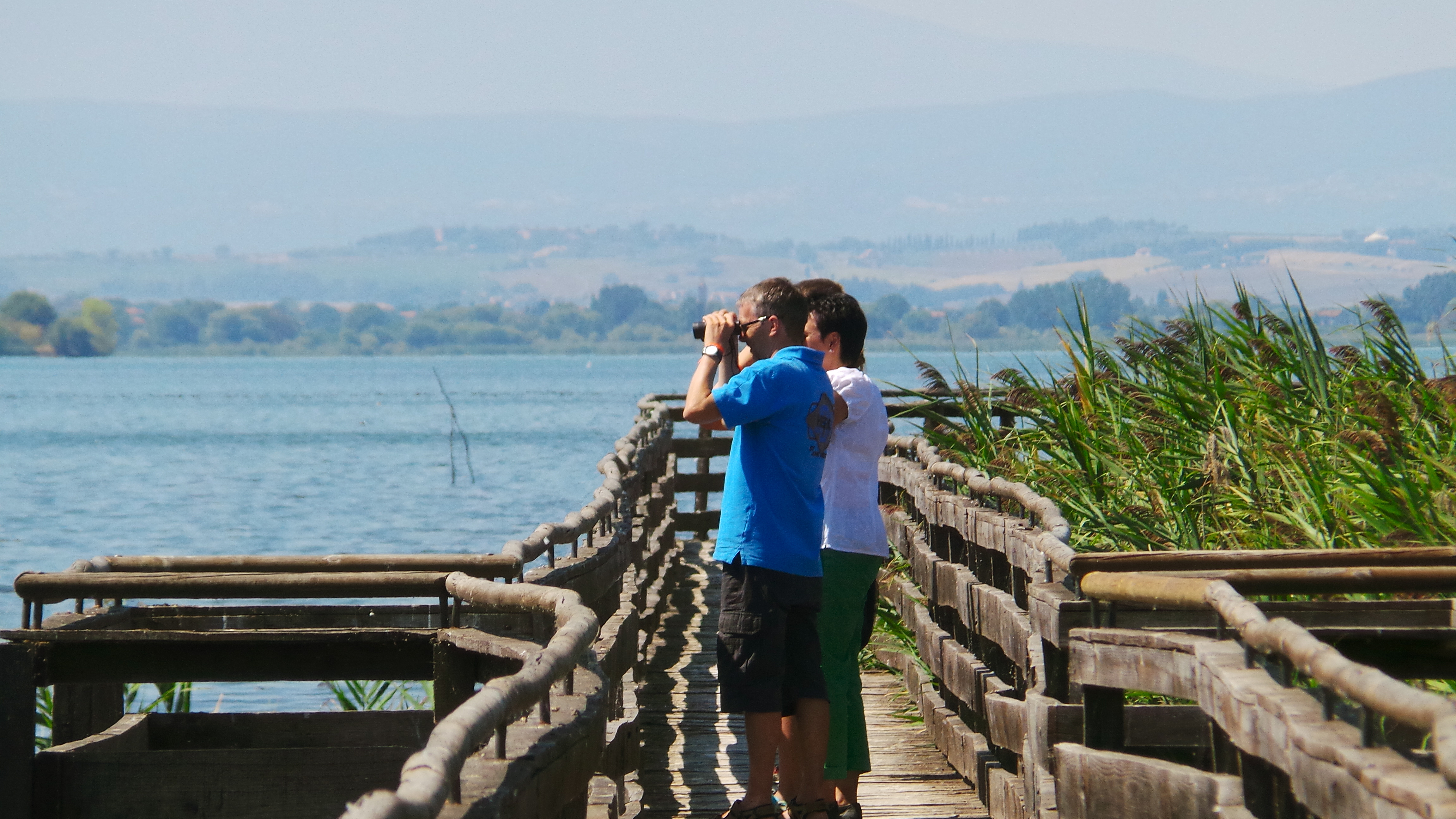 Birdwatching at Lake Trasimeno