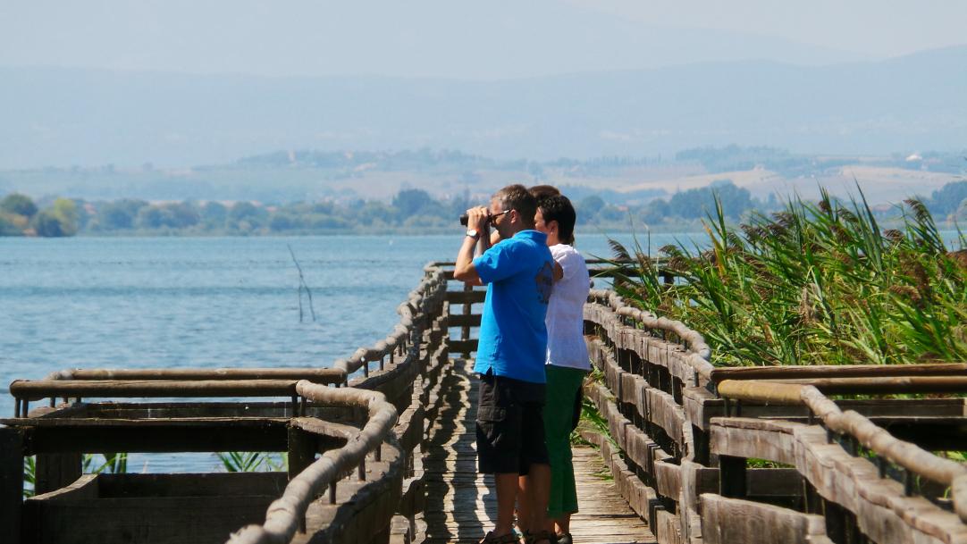 Birdwatching at Lake Trasimeno