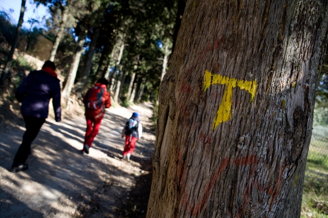 A family in trekking clothes walks along the Way of St. Francis, with a trail marker painted in the shape of a T on a cypress tree.