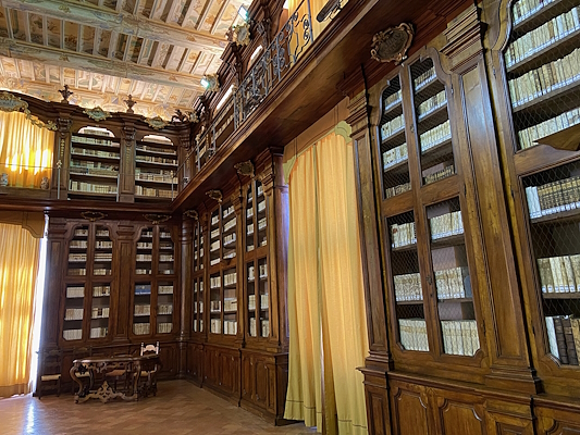 Eine historische Bibliothek mit geschnitzten Holzregalen, alten Büchern, einer bemalten Decke und großen Fenstern mit goldenen Vorhängen.