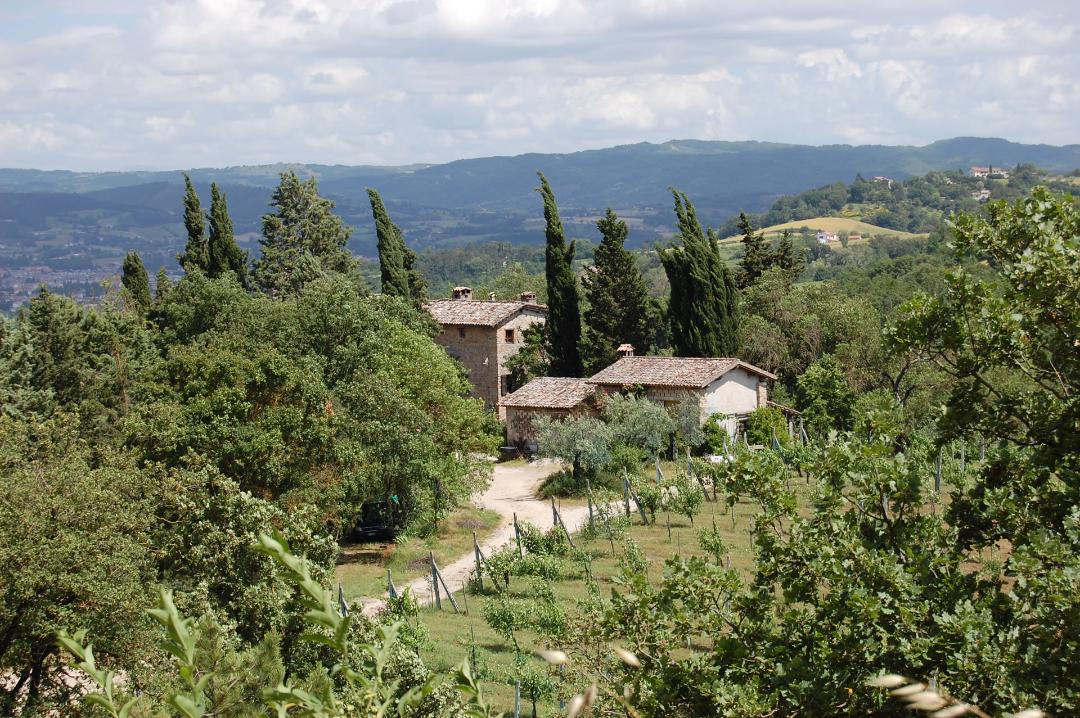 Parco di Archeologia Arborea di San Lorenzo di Lerchi