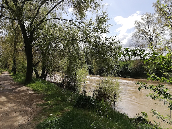 Sponda di un fiume con percorso ciclabile