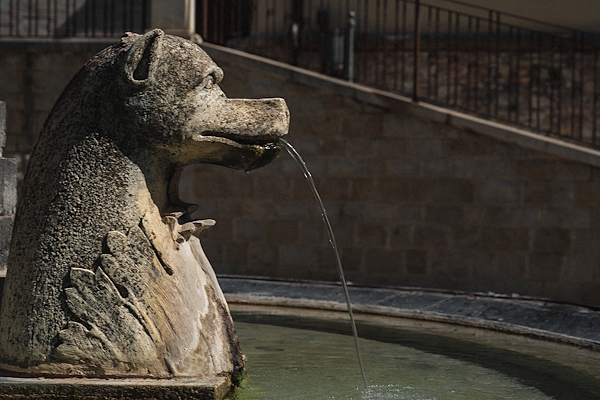 Detail of a fountain with a winged animal sculpture spouting water from its mouth, in Sellano, Umbria.