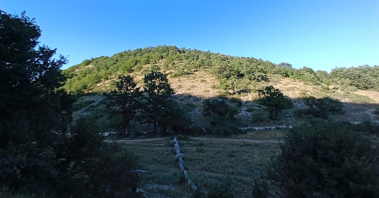 Panorama of a wooded hill with a blue sky and a shaded path at sunset.