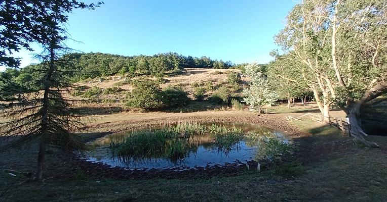 Pond surrounded by trees and grassy hills under a clear sky in the late afternoon
