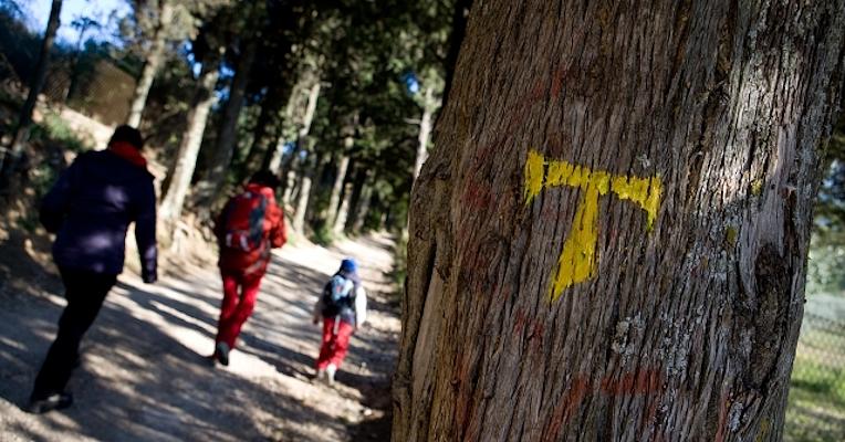 Three hikers on the Franciscan trail, next to a tree marked with a yellow “Tau” symbol, walking through a forest.