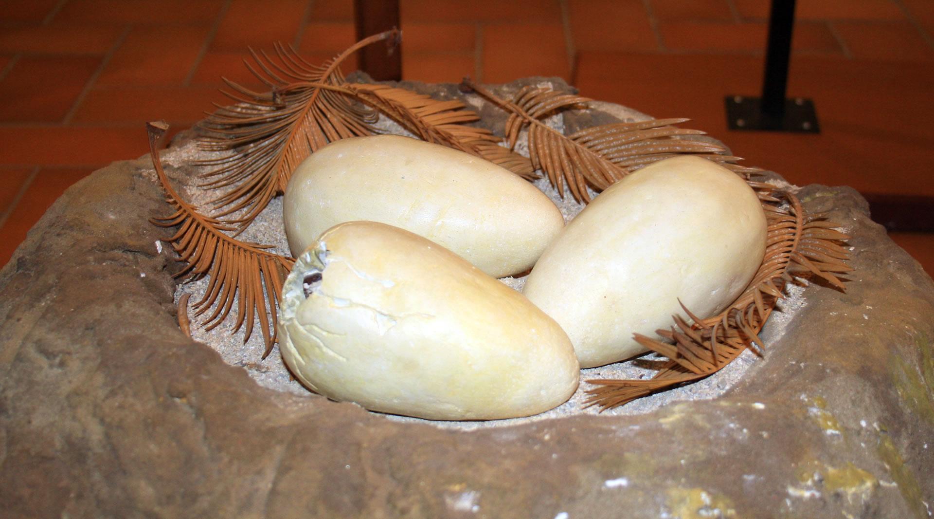 Museum of Volcanology, San Venanzo