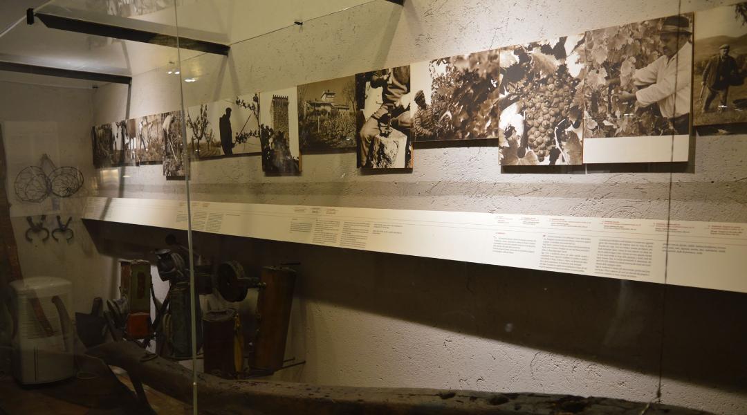 MUVIT – Torgiano Wine Museum