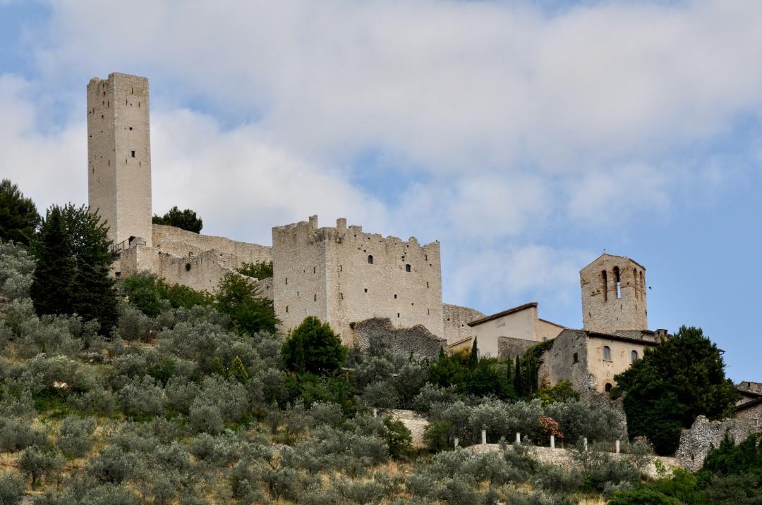 Veduta del Castello di Pissignano, con torri e mura medievali in pietra che emergono tra gli uliveti del pendio, sotto un cielo parzialmente nuvoloso