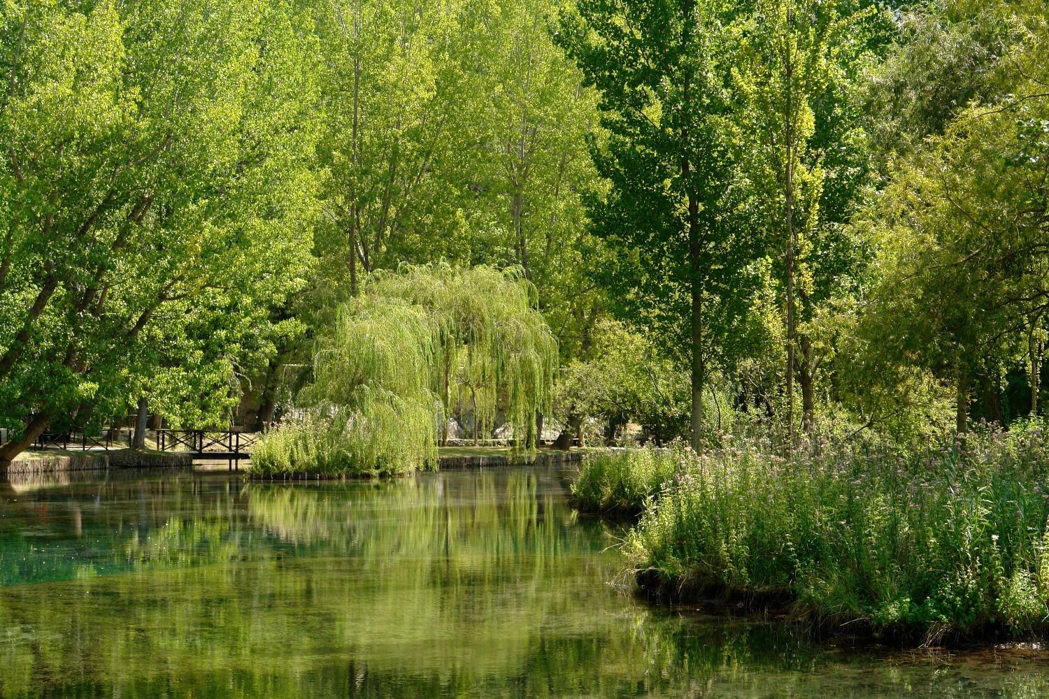 Clear pond surrounded by willows and trees, with green reflections typical of the Fonti del Clitunno