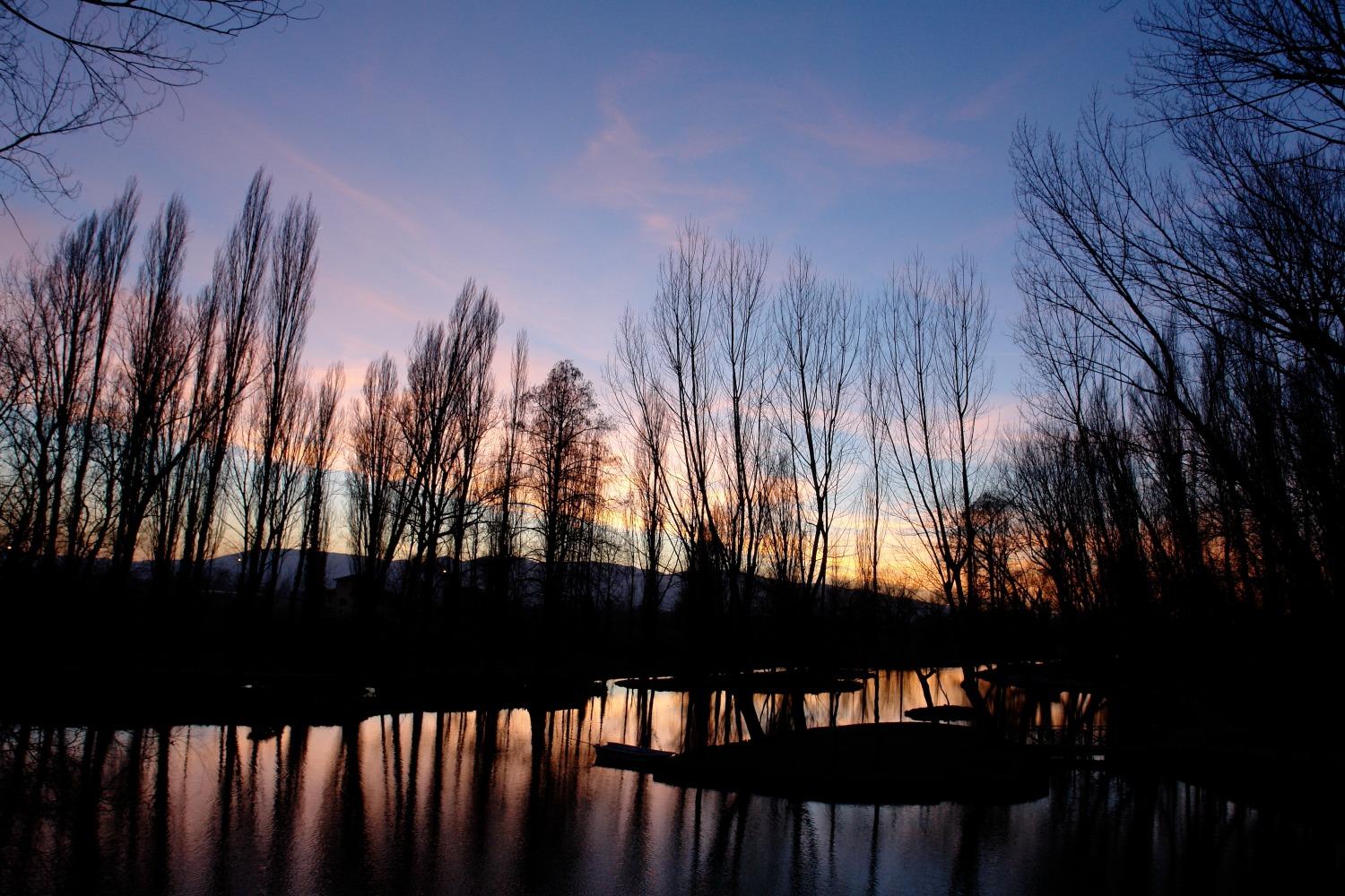 Silhouettes of trees reflected in the water at sunset, with a pink sky and peaceful atmosphere