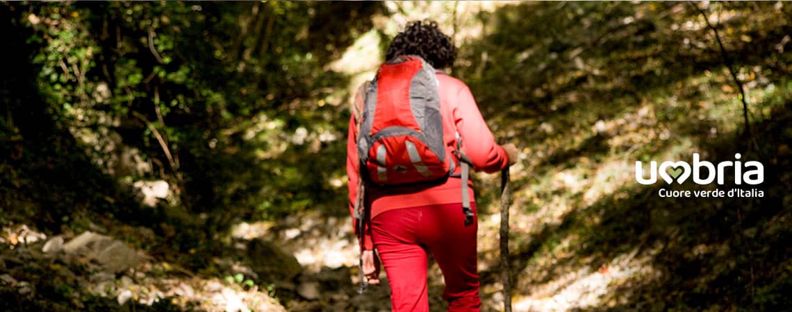 trekking pilgrims the st francis way