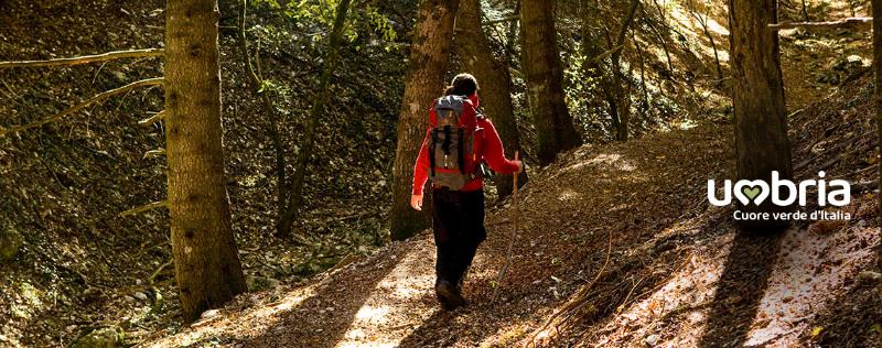 pellegrinaggio cammino di francesco di assisi