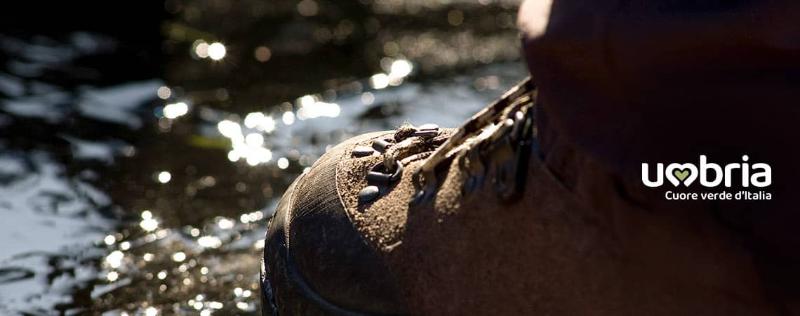 pilgrimage trekking path to san francesco of assisi