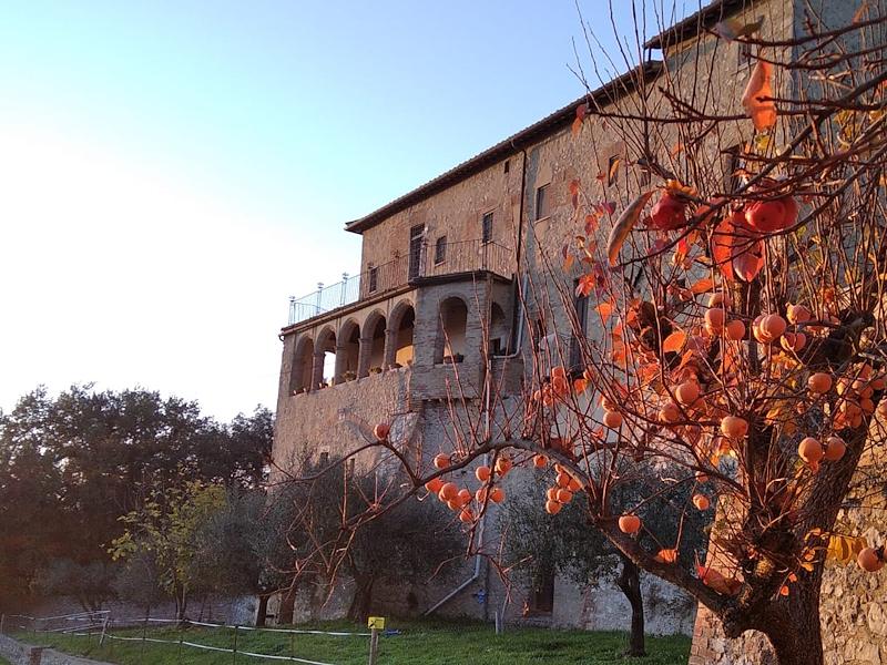 Titolo: Il Convento della SS. Annunziata ad Amelia