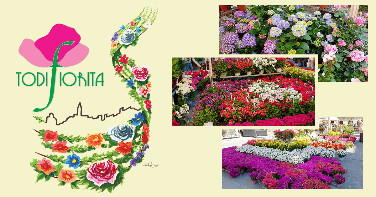 Banner of Todi Fiorita 2026 in Todi